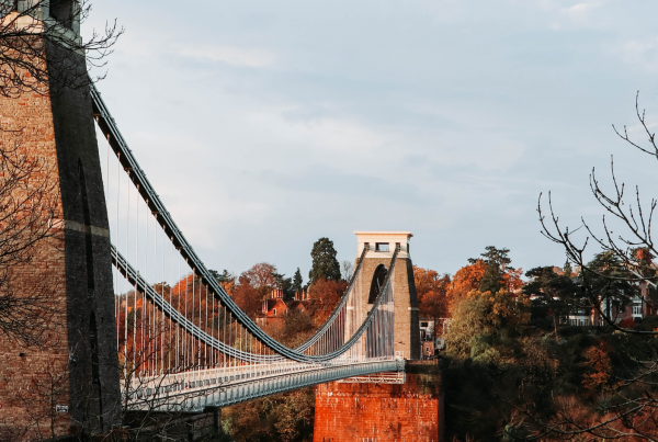 Lost and found on Clifton Downs