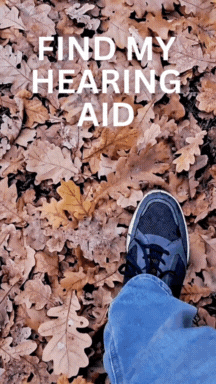 Lost and found on Clifton Downs