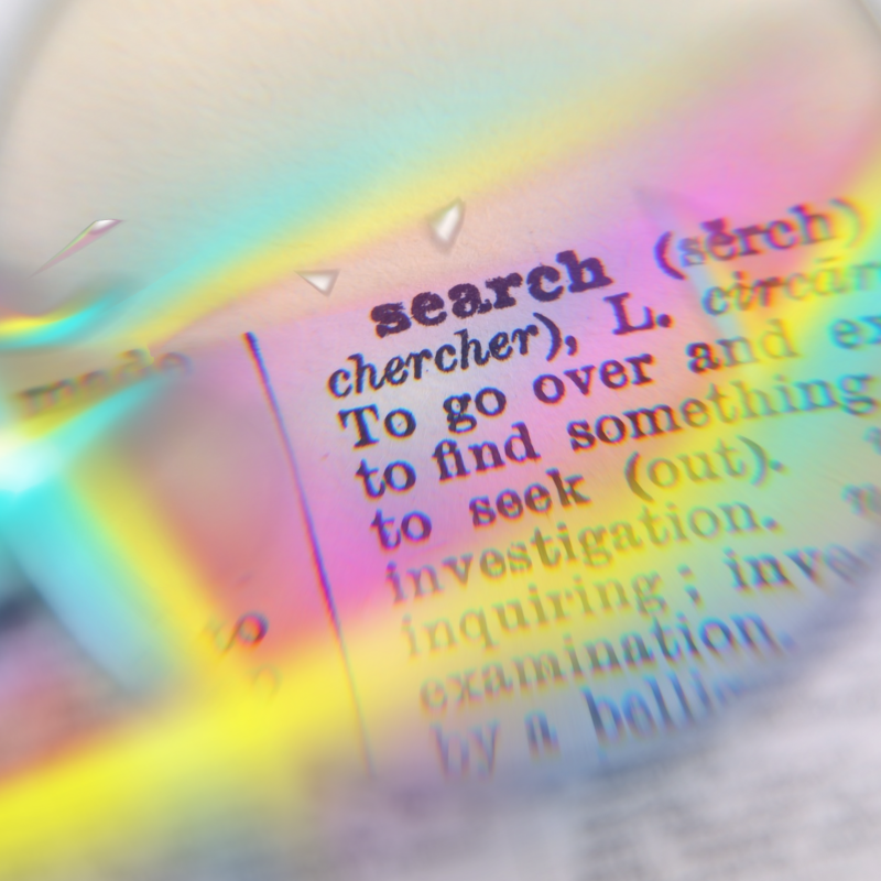 Word Search fun with the team from Meadows & Wood