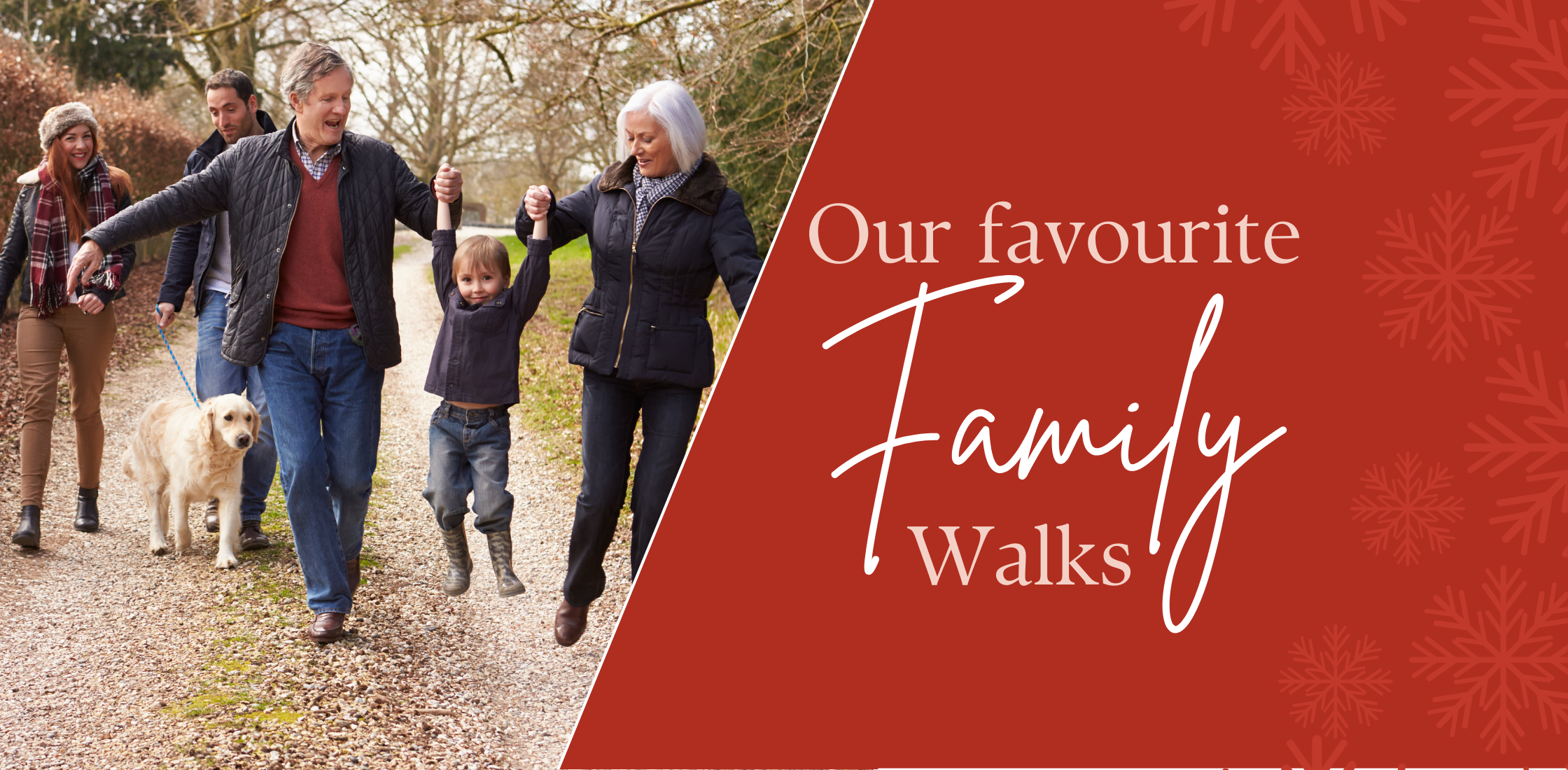 Your Guide to Beautiful Winter Walks Near Meadows & Wood Hearing Care