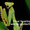 Your hearing is worth protecting