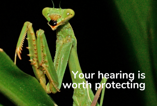 Your hearing is worth protecting