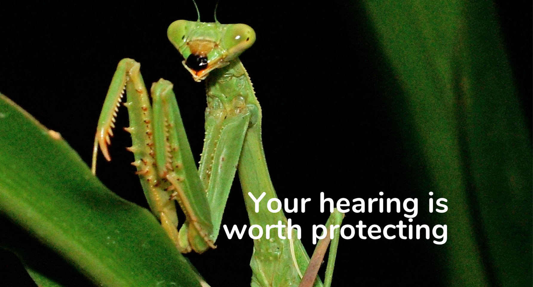 Your hearing is worth protecting